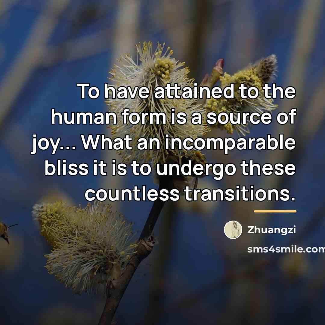 “To have attained to the human form is a source…” quote by Zhuangzi