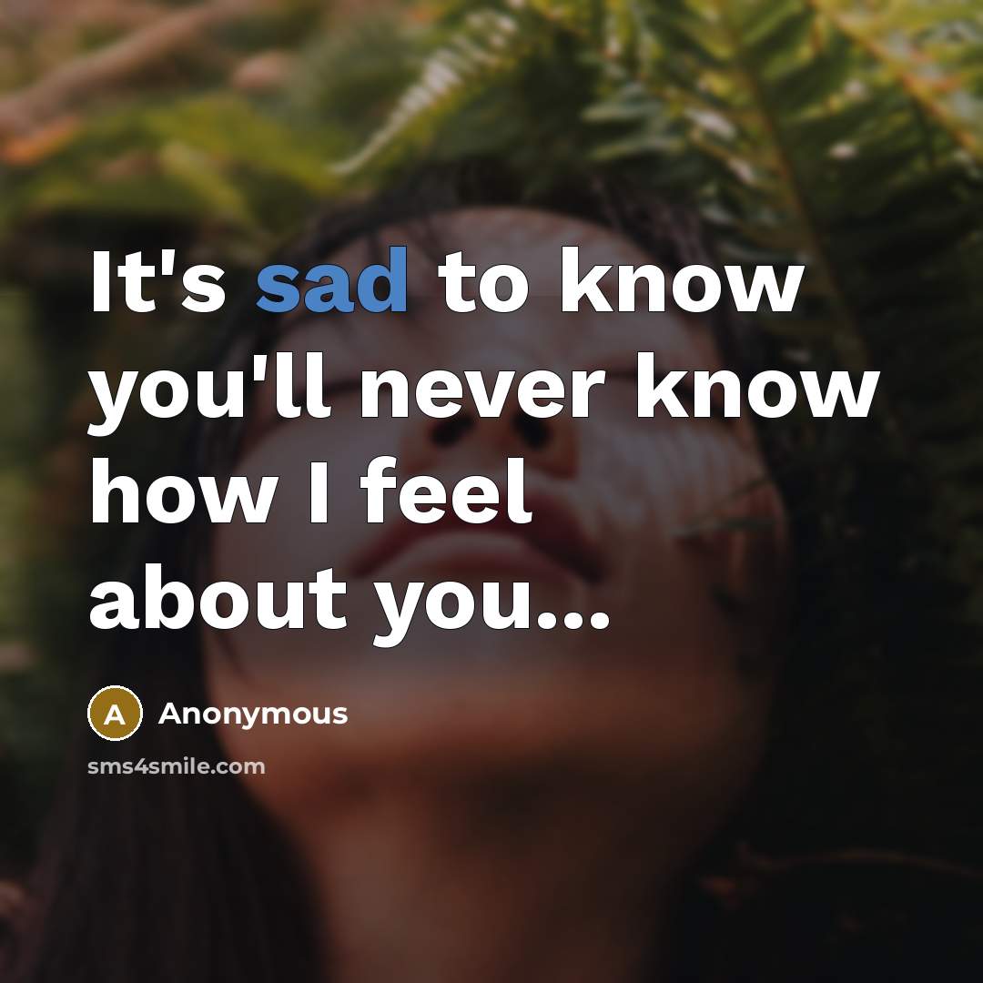 “It's sad to know you'll never know how I feel about you...” quote by Anonymous