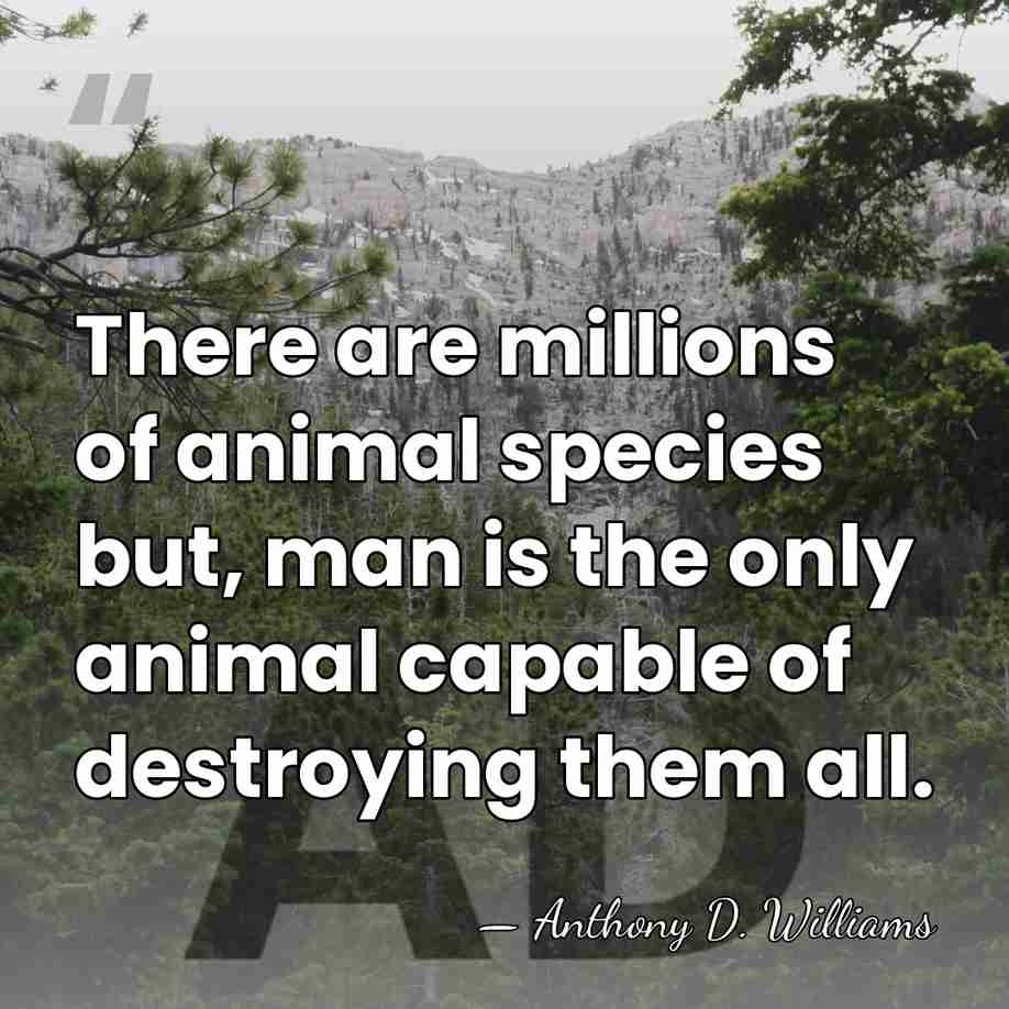 There are millions of animal species but, man is the only animal&hellip; - Anthony D. Williams