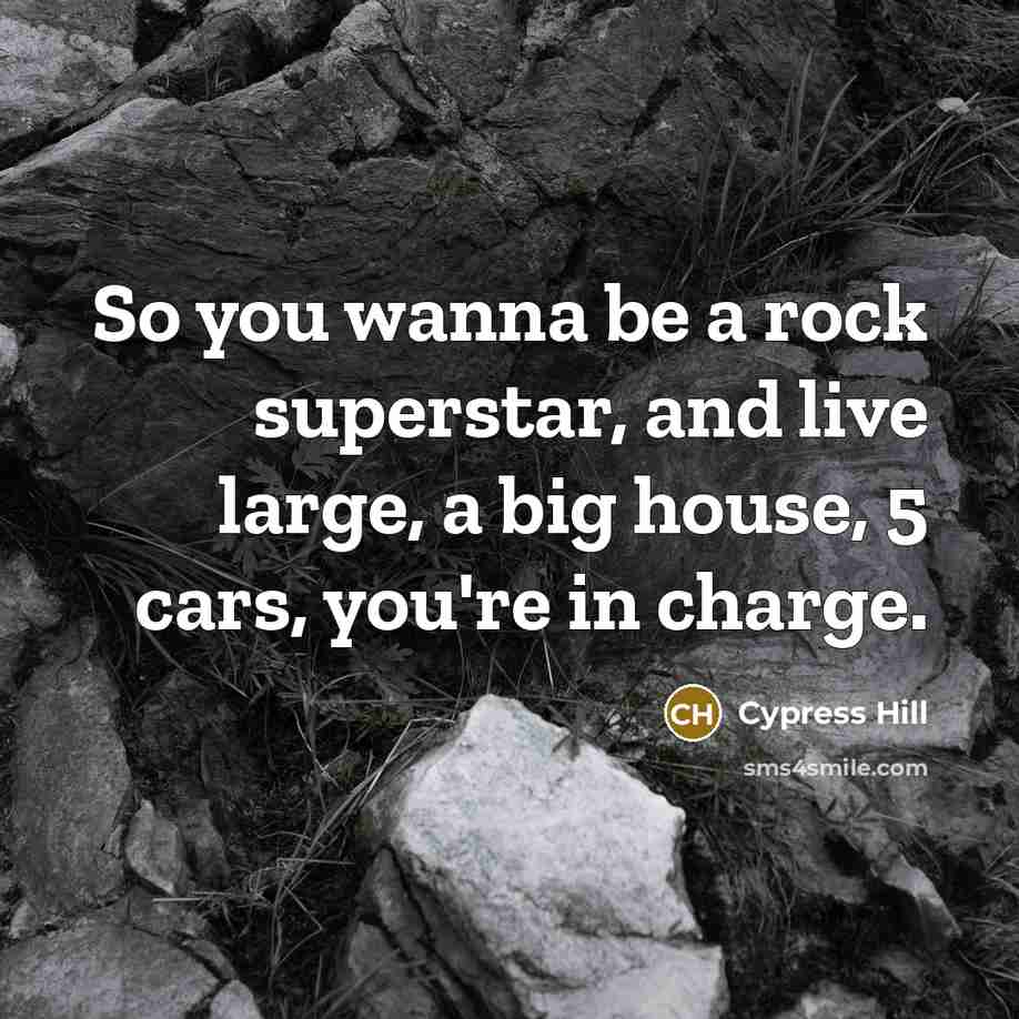 “So you wanna be a rock superstar, and live large, a big house, 5 cars, you're in charge.” quote by Cypress Hill