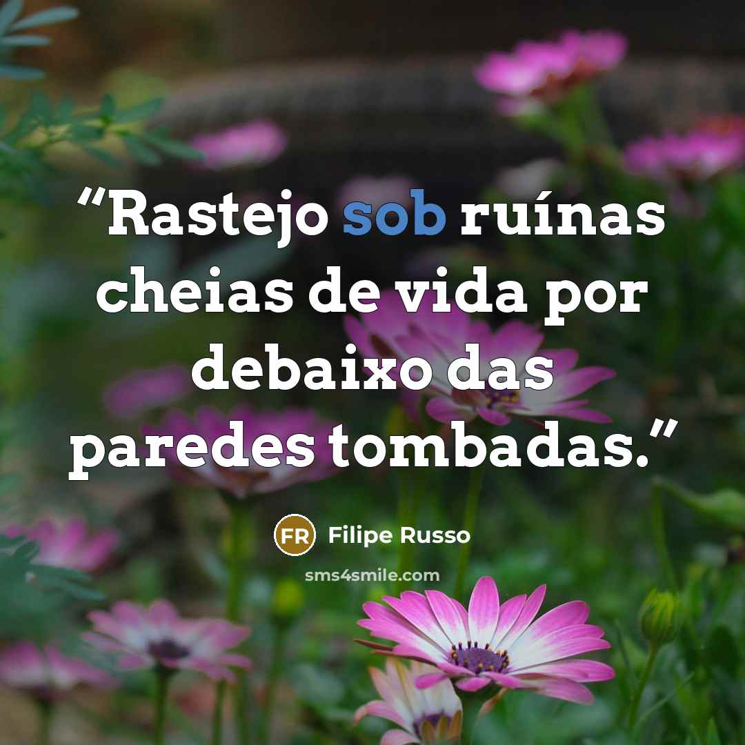 “Rastejo sob ruínas cheias de vida por debaixo das paredes tombadas.” quote by Filipe Russo