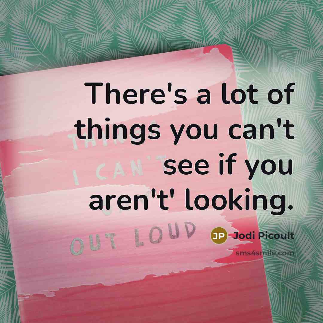 “There's a lot of things you can't see if you aren't' looking.” quote by Jodi Picoult