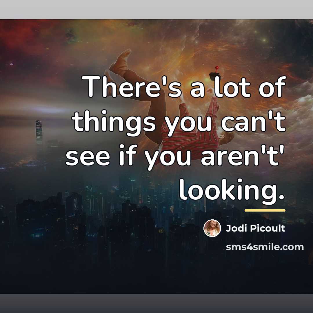 “There's a lot of things you can't see if you…” quote by Jodi Picoult