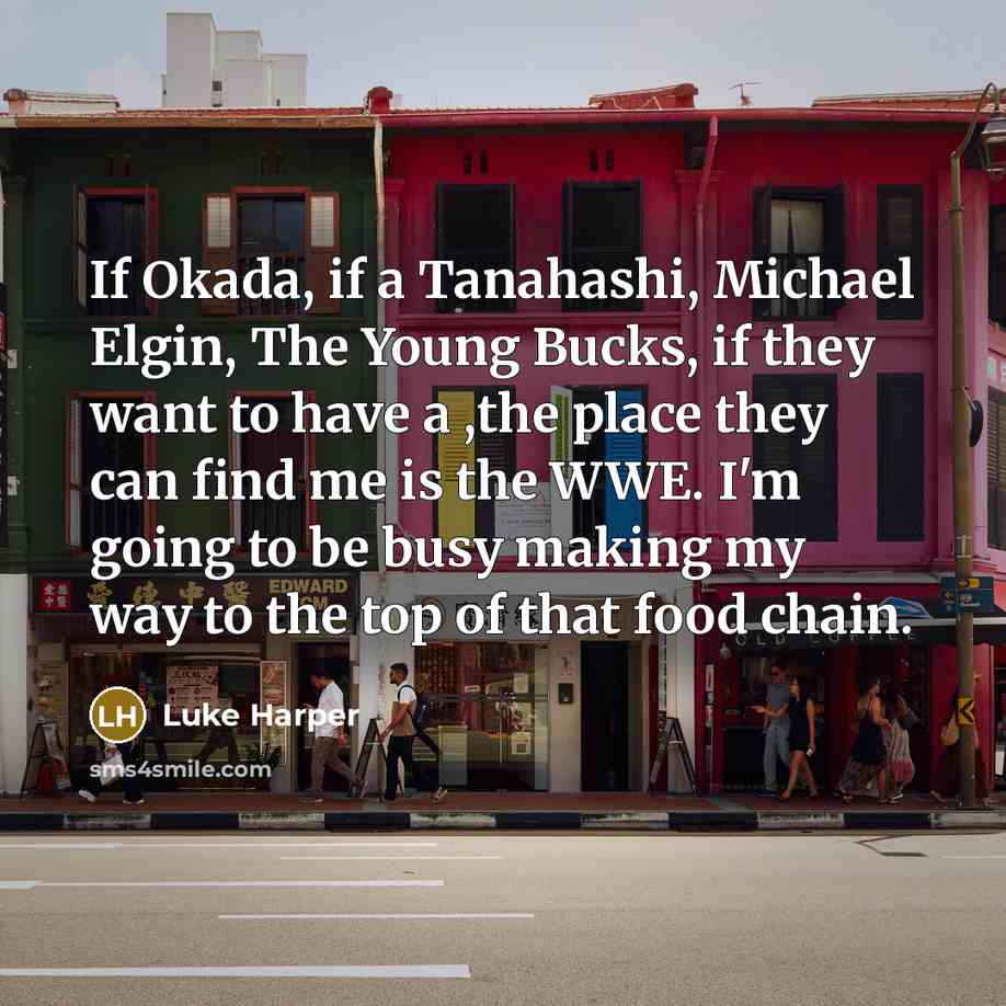 “If Okada, if a Tanahashi, Michael Elgin, The Young Bucks,…” quote by Luke Harper