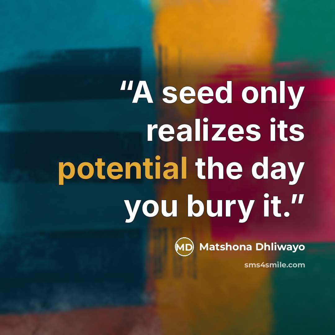 “A seed only realizes its potential the day you bury it.” quote by Matshona Dhliwayo