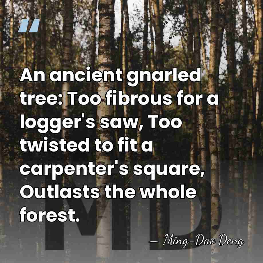 An ancient gnarled tree: Too fibrous for a logger's saw, Too twisted&hellip; - Ming-Dao Deng