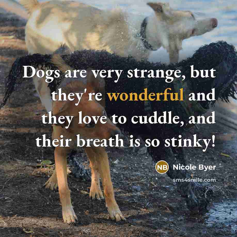 “Dogs are very strange, but they're wonderful and they love…” quote by Nicole Byer