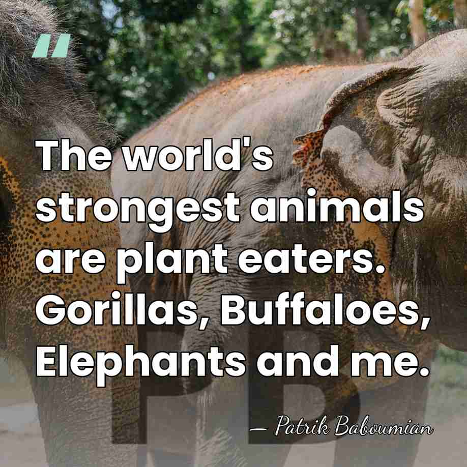 The world's strongest animals are plant eaters. Gorillas, Buffaloes, Elephants and me. - Patrik Baboumian