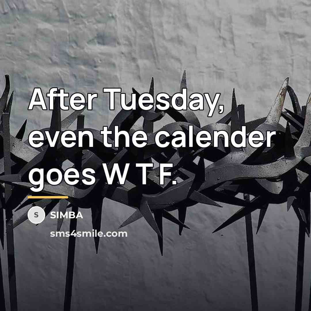 “After Tuesday, even the calender goes W T F.…” quote by Simba