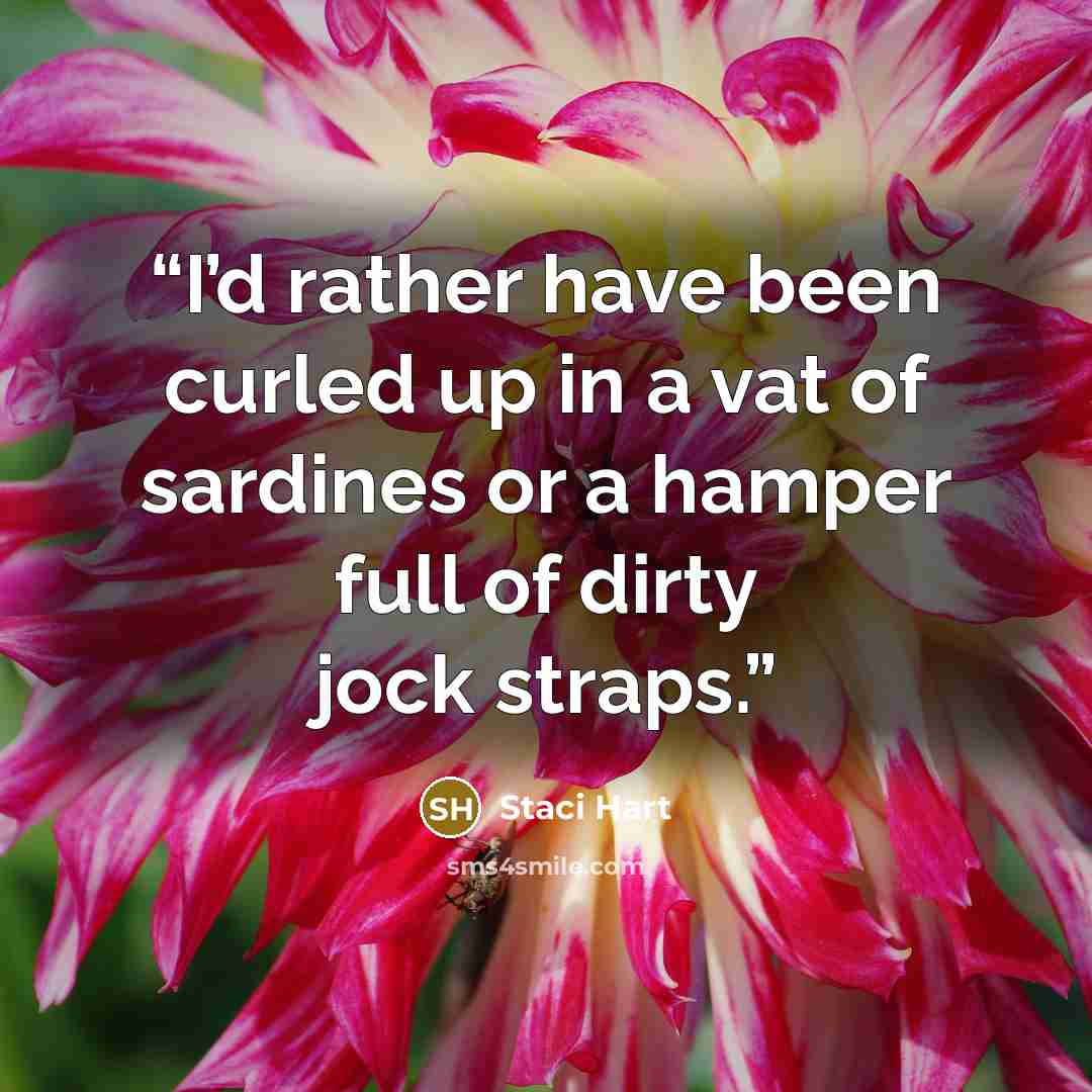 “I’d rather have been curled up in a vat of sardines or a hamper full of dirty jock straps.” quote by Staci Hart