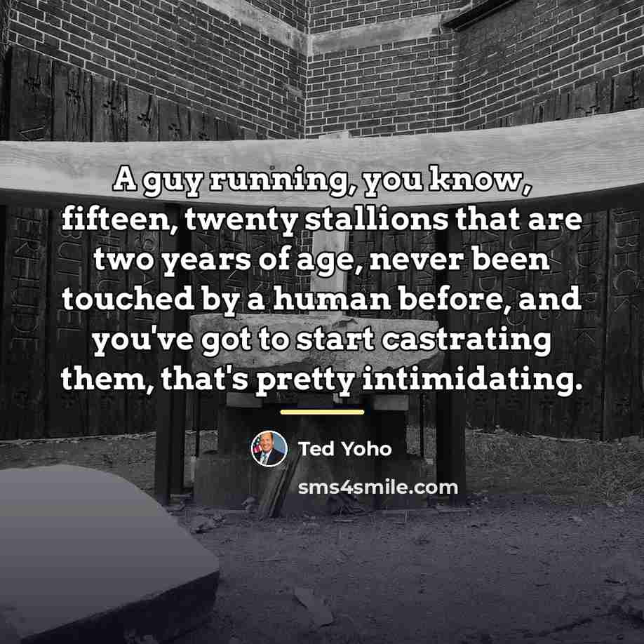 “A guy running, you know, fifteen, twenty stallions that are…” quote by Ted Yoho