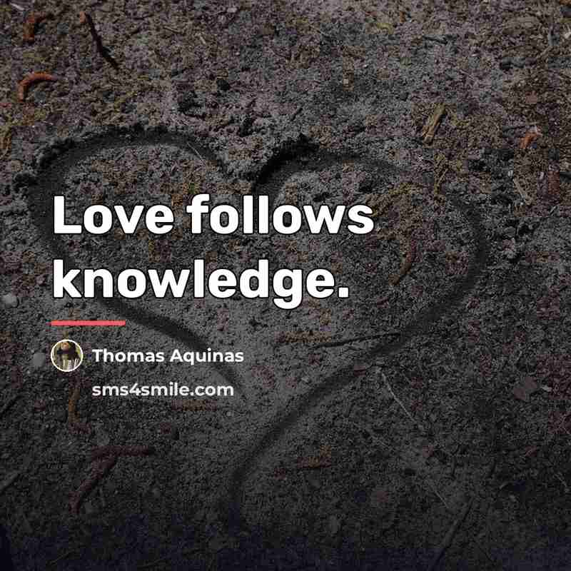 “Love follows knowledge.…” quote by Thomas Aquinas