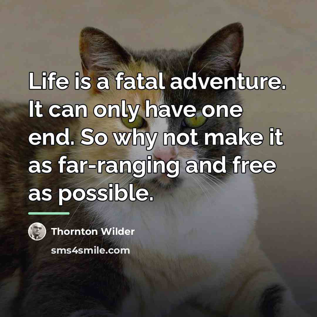 “Life is a fatal adventure. It can only have one…” quote by Thornton Wilder