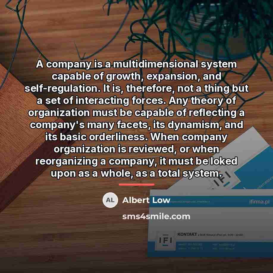 “A company is a multidimensional system capable of growth, expansion,…” quote by Albert Low