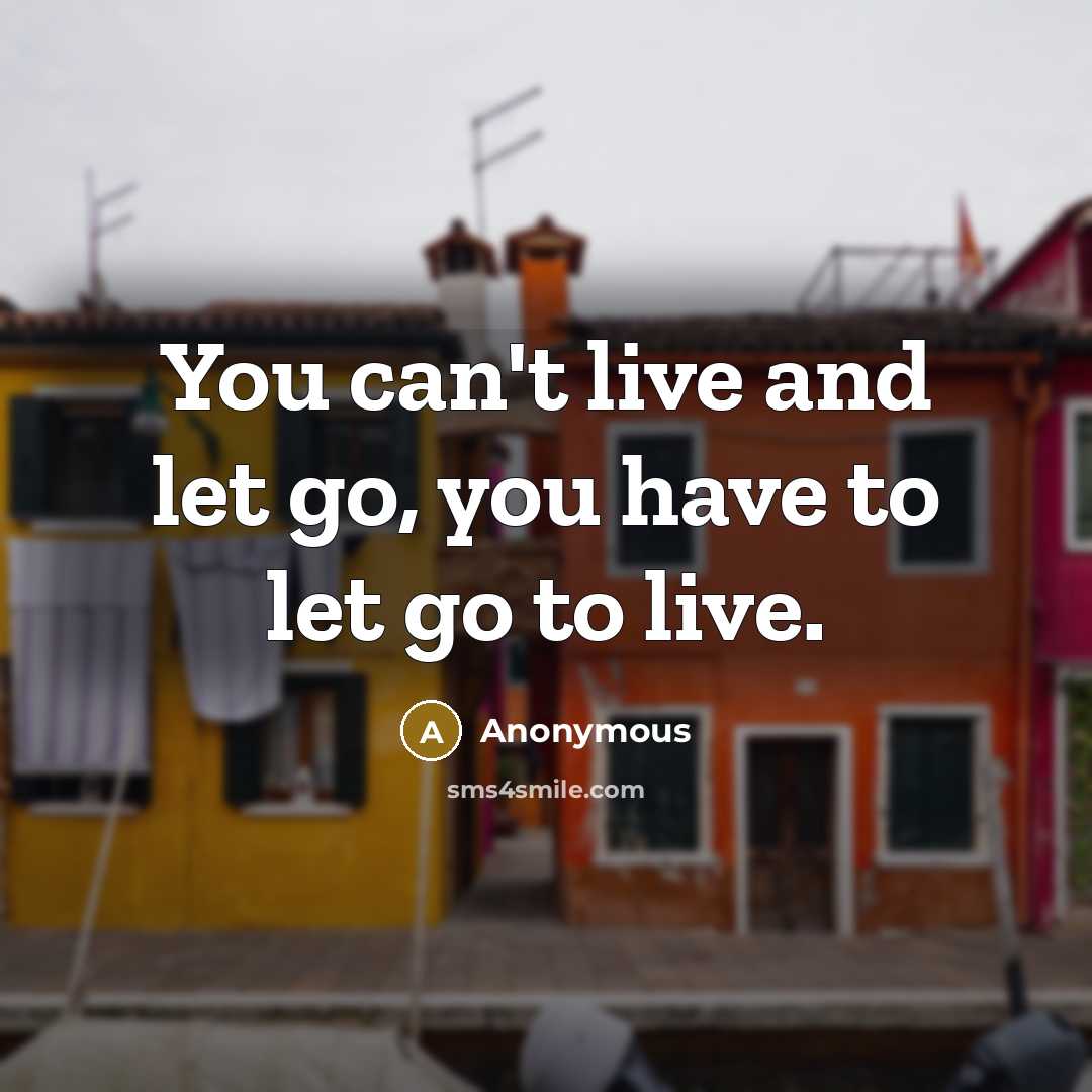 “You can't live and let go, you have to let…” quote by Anonymous