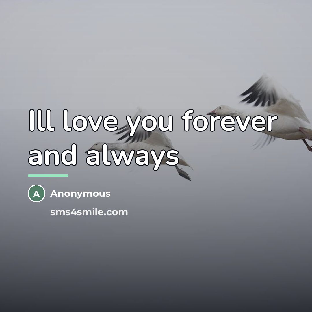 “Ill love you forever and always…” quote by Anonymous