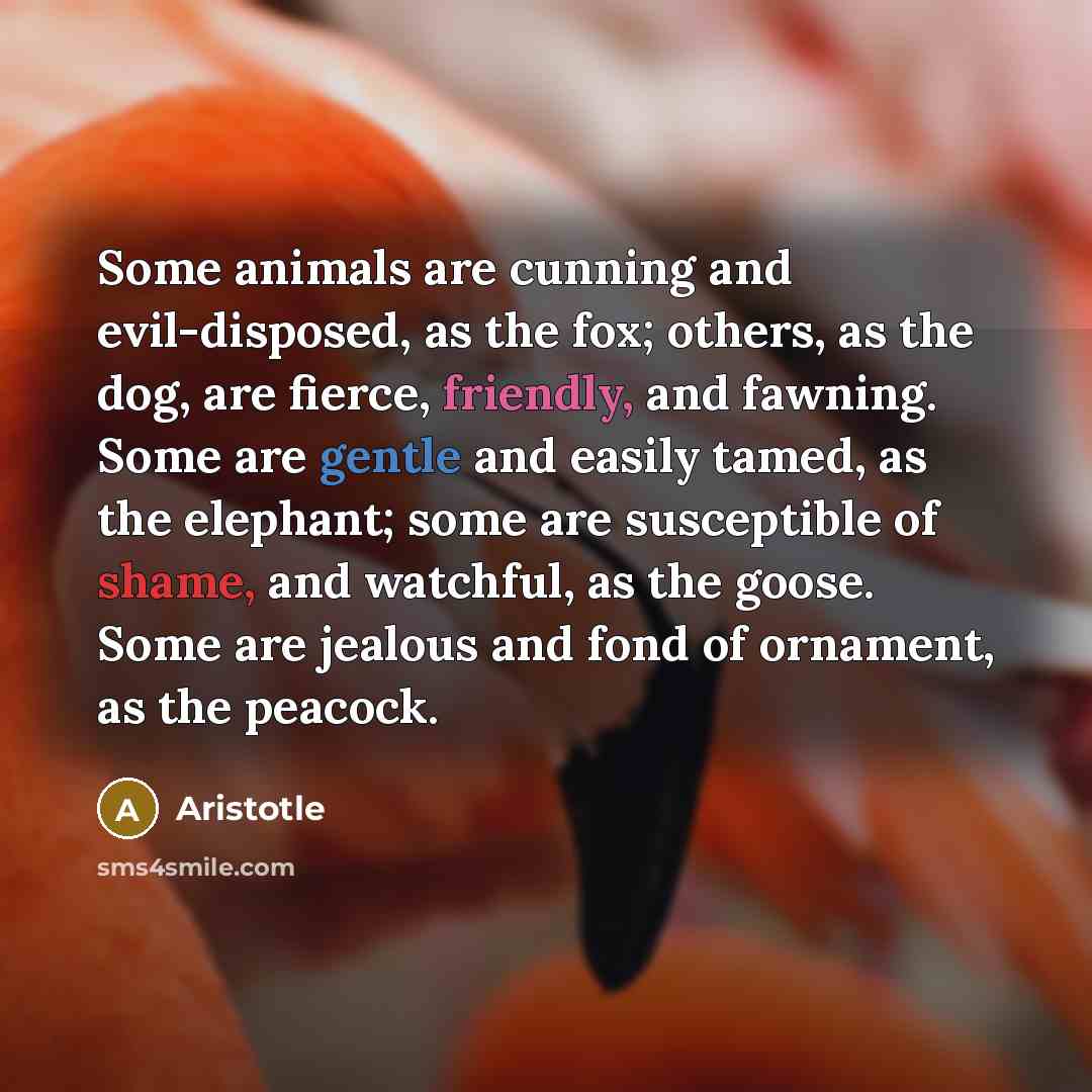 “Some animals are cunning and evil-disposed, as the fox; others, as the dog, are fierce, friendly, and fawning. Some are gentle and easily tamed, as the elephant; some are susceptible of shame, and watchful, as the goose. Some are jealous and fond of ornament, as the peacock.” quote by Aristotle