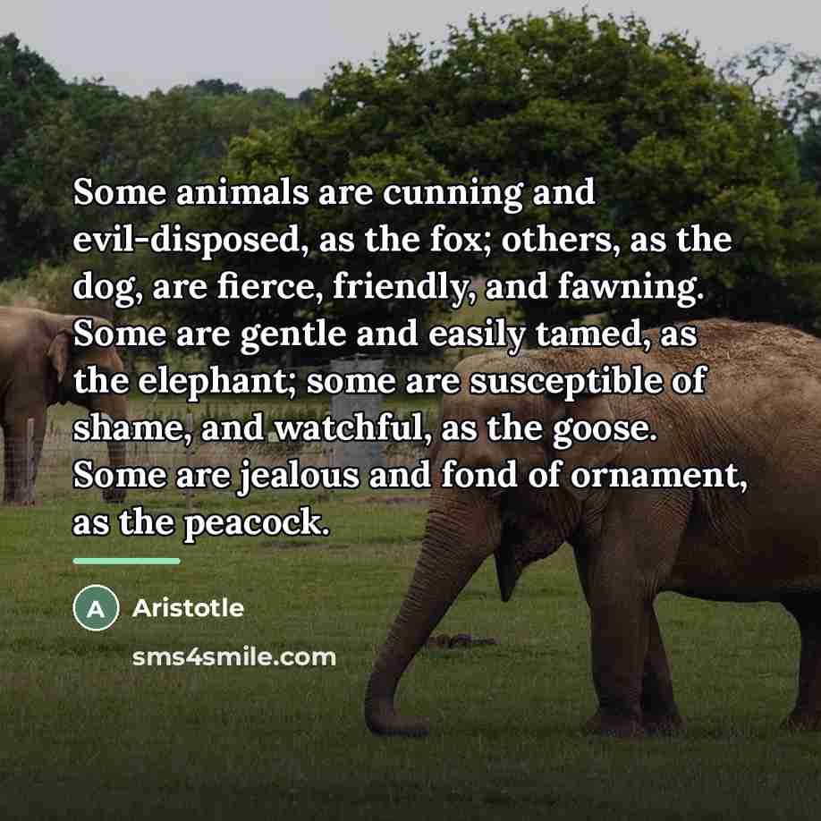 “Some animals are cunning and evil-disposed, as the fox; others,…” quote by Aristotle