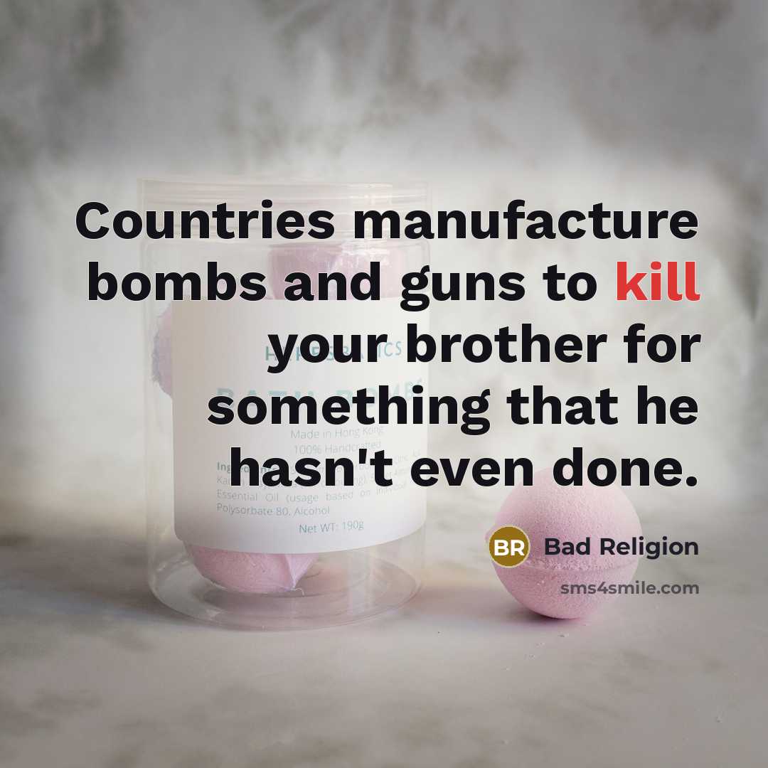 “Countries manufacture bombs and guns to kill your brother for…” quote by Bad Religion