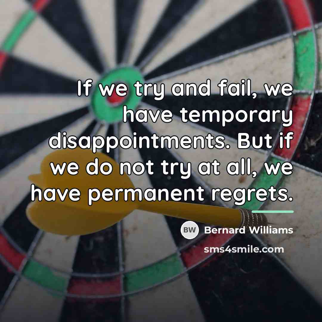 “If we try and fail, we have temporary disappointments. But…” quote by Bernard Williams
