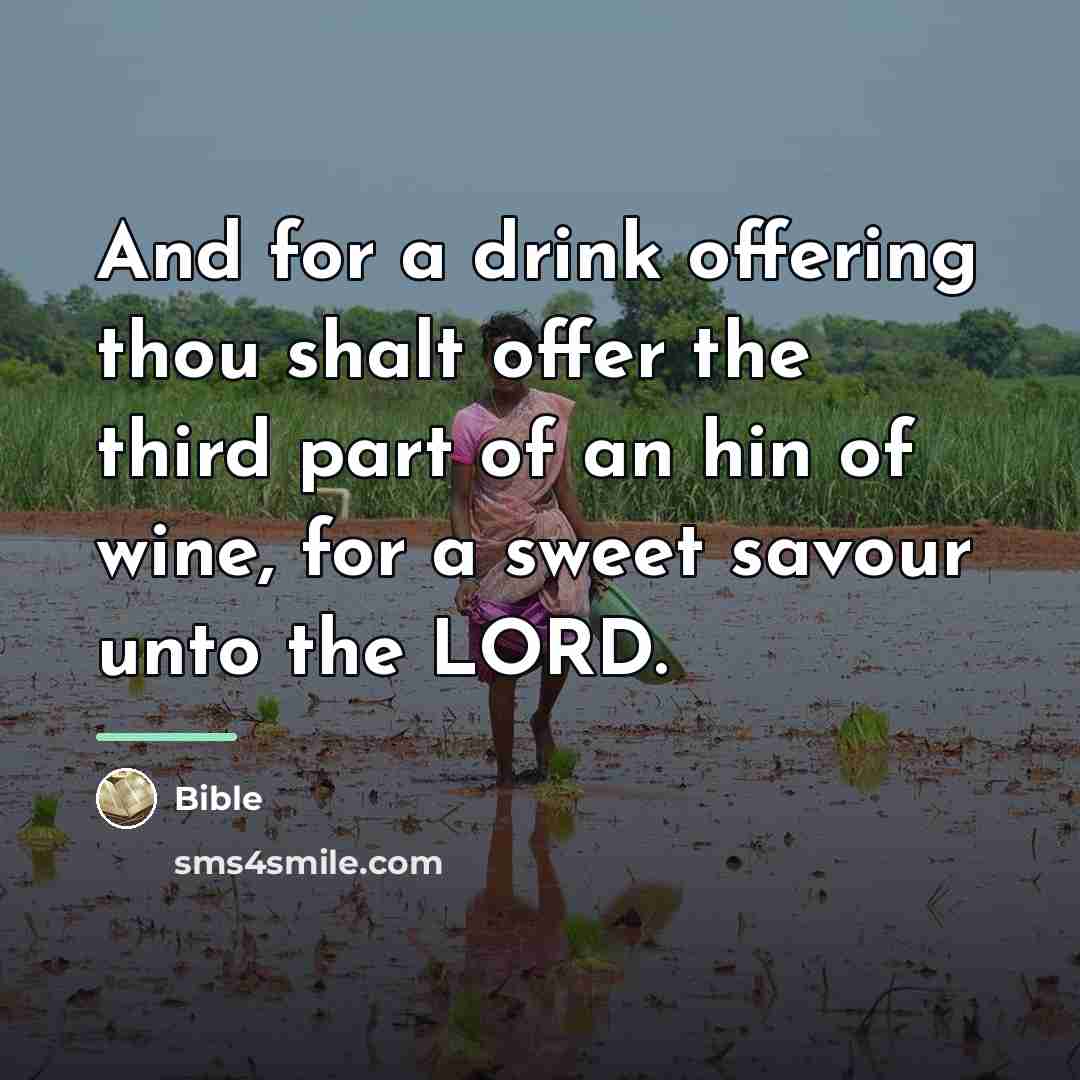 “And for a drink offering thou shalt offer the third…” quote by Bible