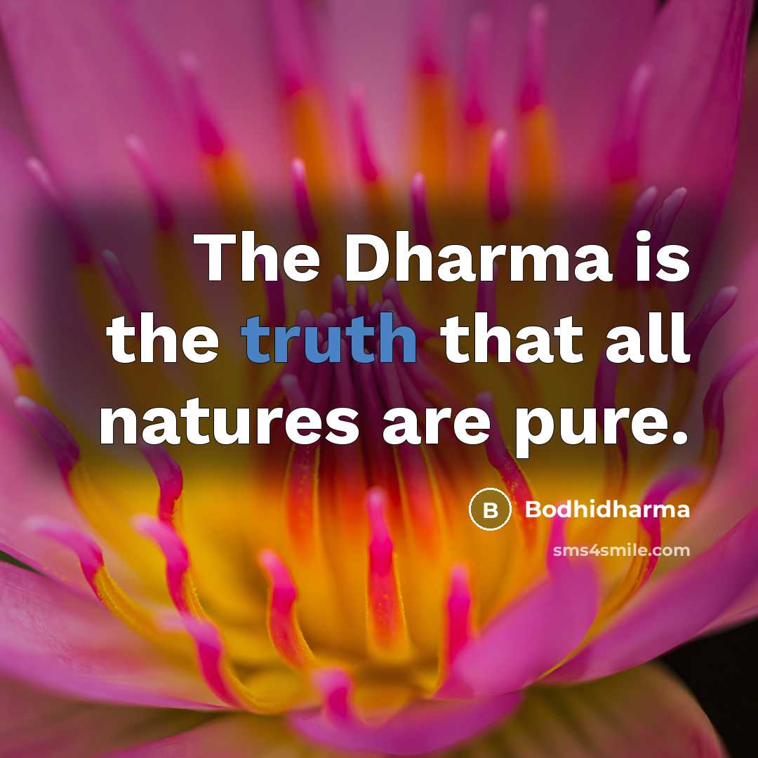 “The Dharma is the truth that all natures are pure.…” quote by Bodhidharma