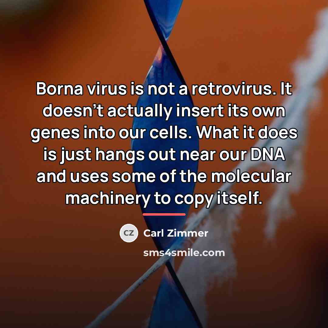 “Borna virus is not a retrovirus. It doesn't actually insert…” quote by Carl Zimmer
