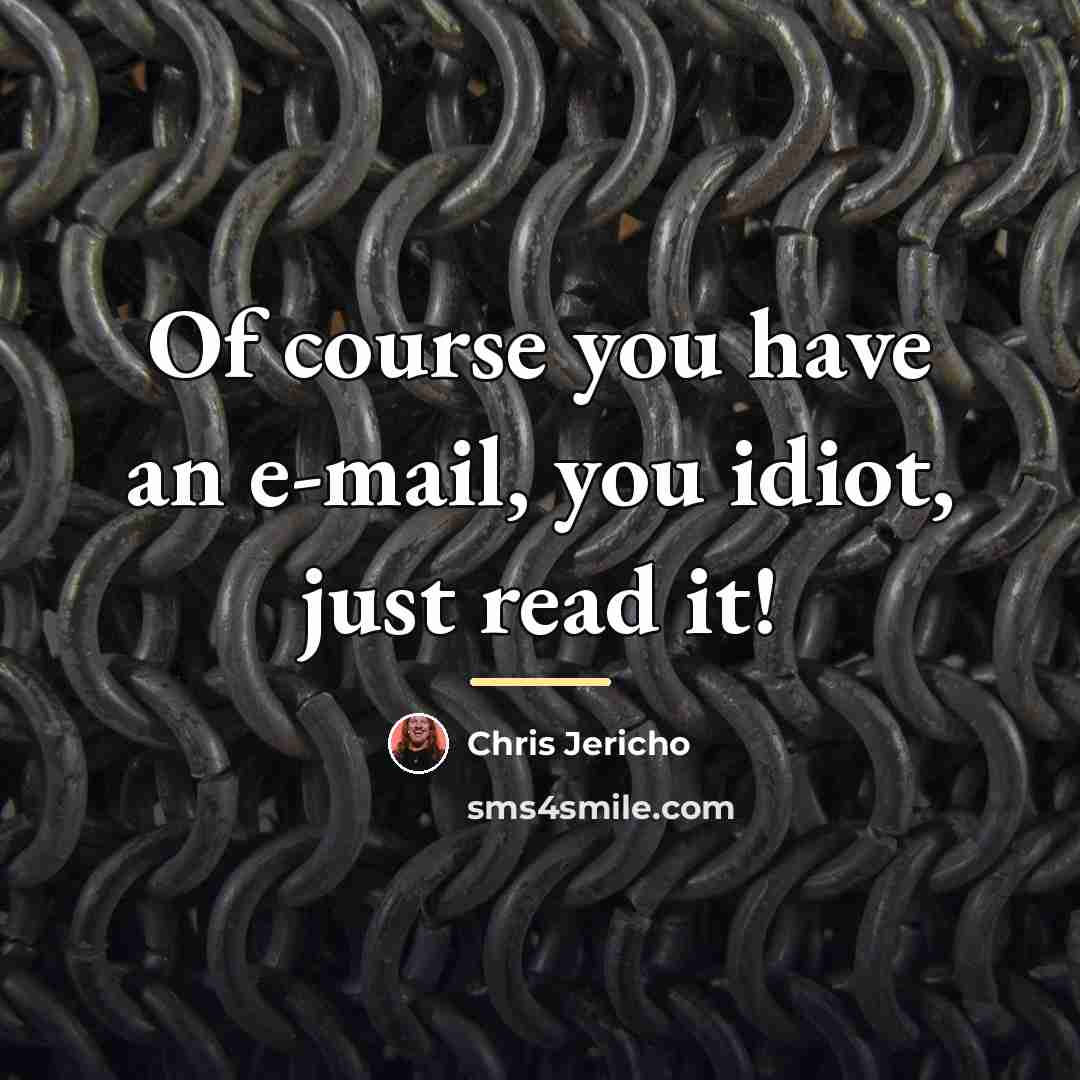 “Of course you have an e-mail, you idiot, just read…” quote by Chris Jericho