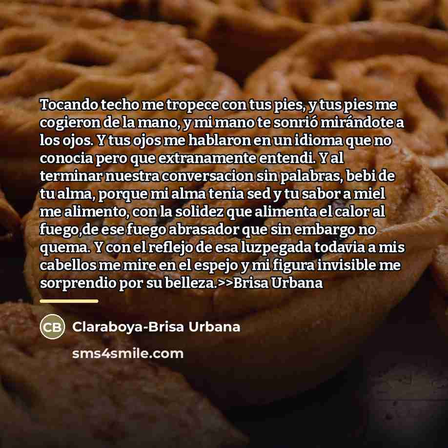 “Tocando techo me tropece con tus pies, y tus pies…” quote by Claraboya-Brisa Urbana
