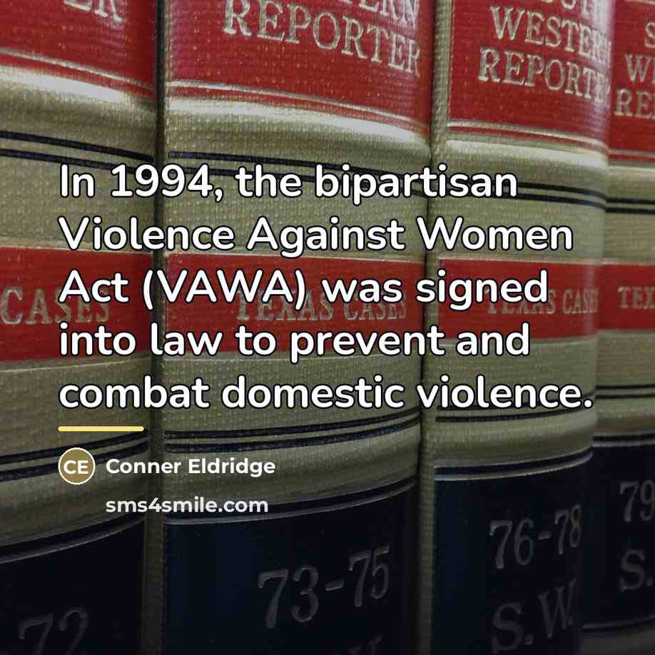 “In 1994, the bipartisan Violence Against Women Act (VAWA) was…” quote by Conner Eldridge