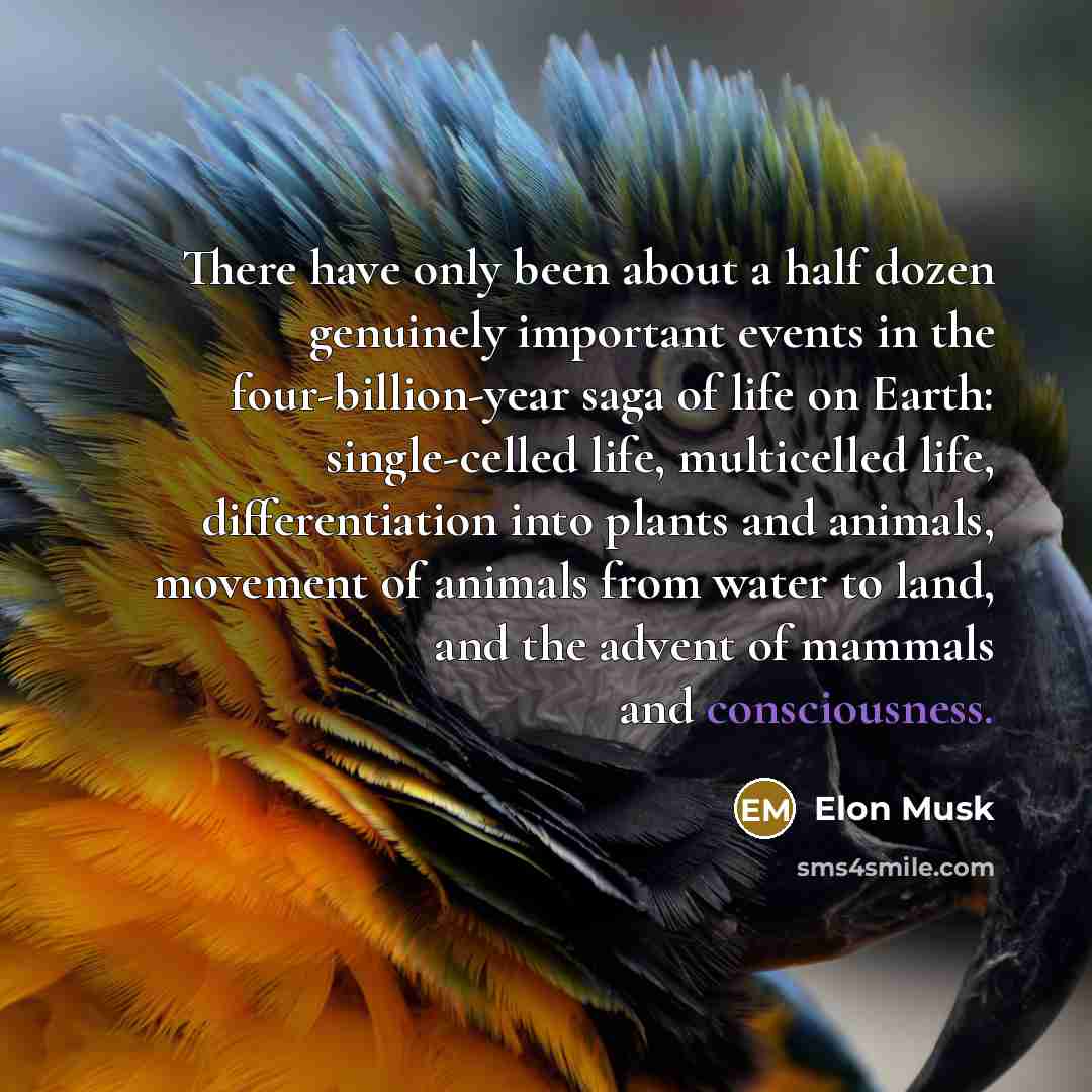 “There have only been about a half dozen genuinely important…” quote by Elon Musk