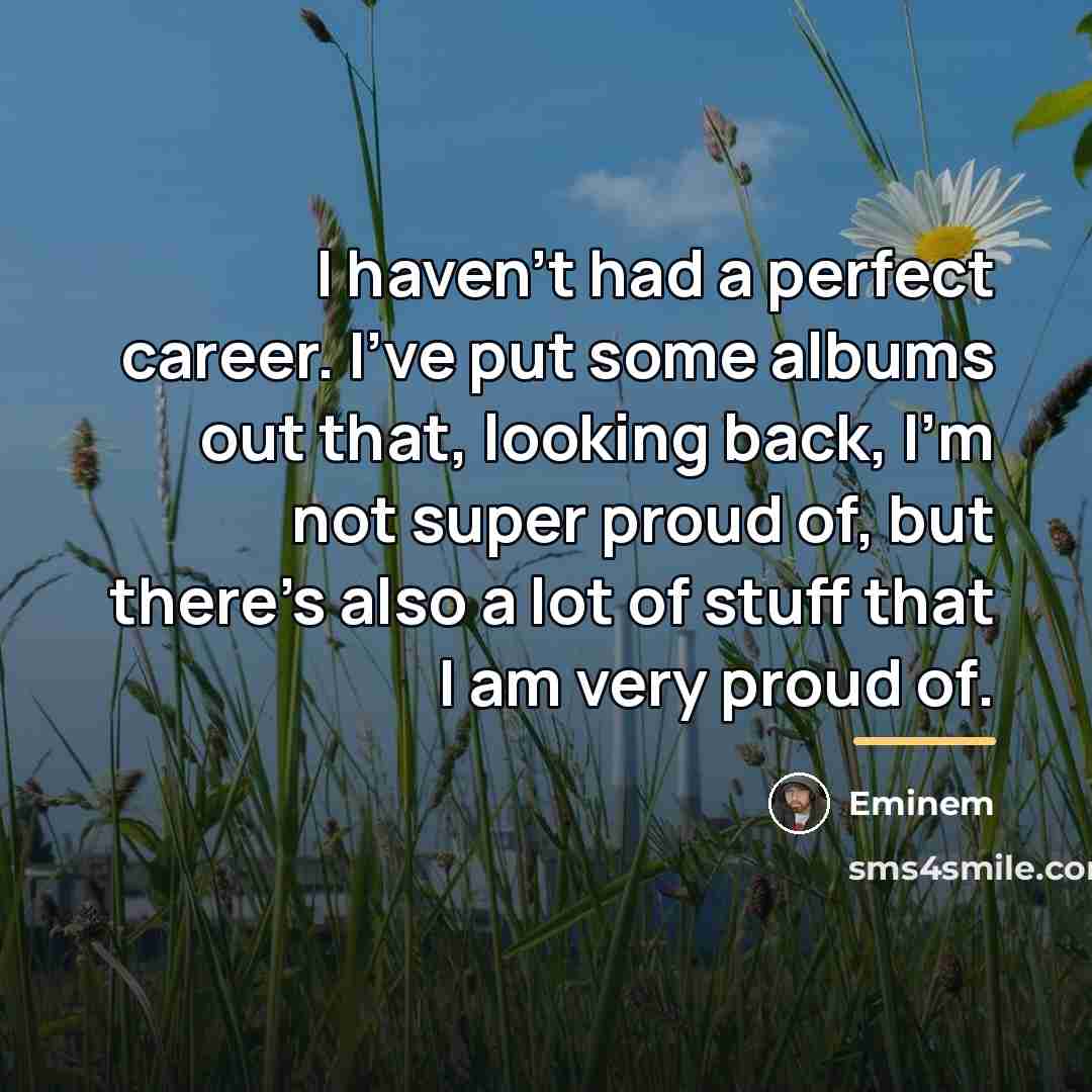 “I haven't had a perfect career. I've put some albums…” quote by Eminem