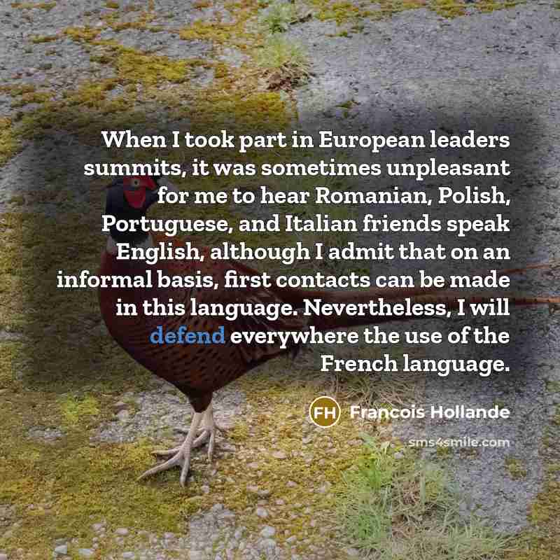 “When I took part in European leaders summits, it was…” quote by Francois Hollande