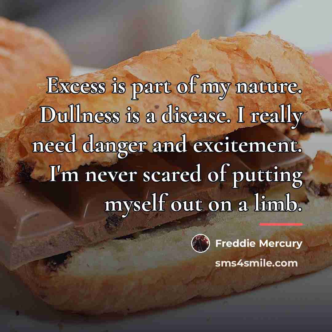 “Excess is part of my nature. Dullness is a disease.…” quote by Freddie Mercury