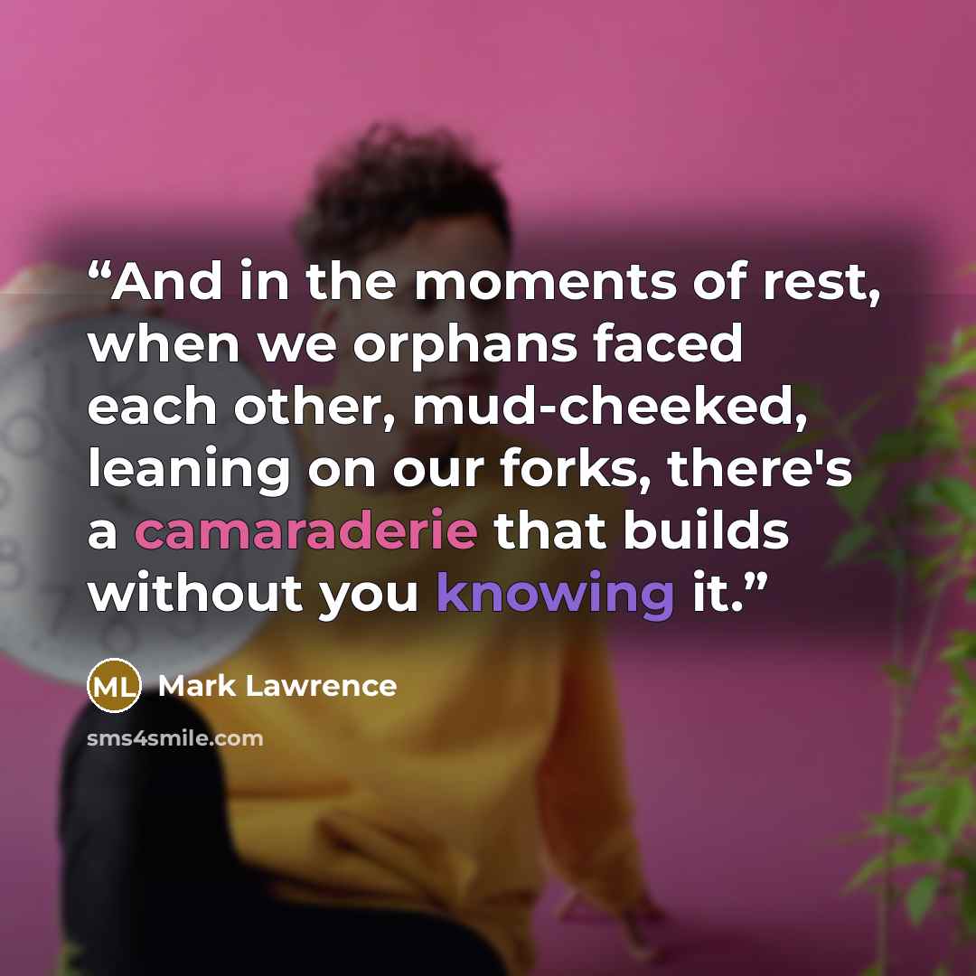 “And in the moments of rest, when we orphans faced each other, mud-cheeked, leaning on our forks, there's a camaraderie that builds without you knowing it.” quote by Mark Lawrence
