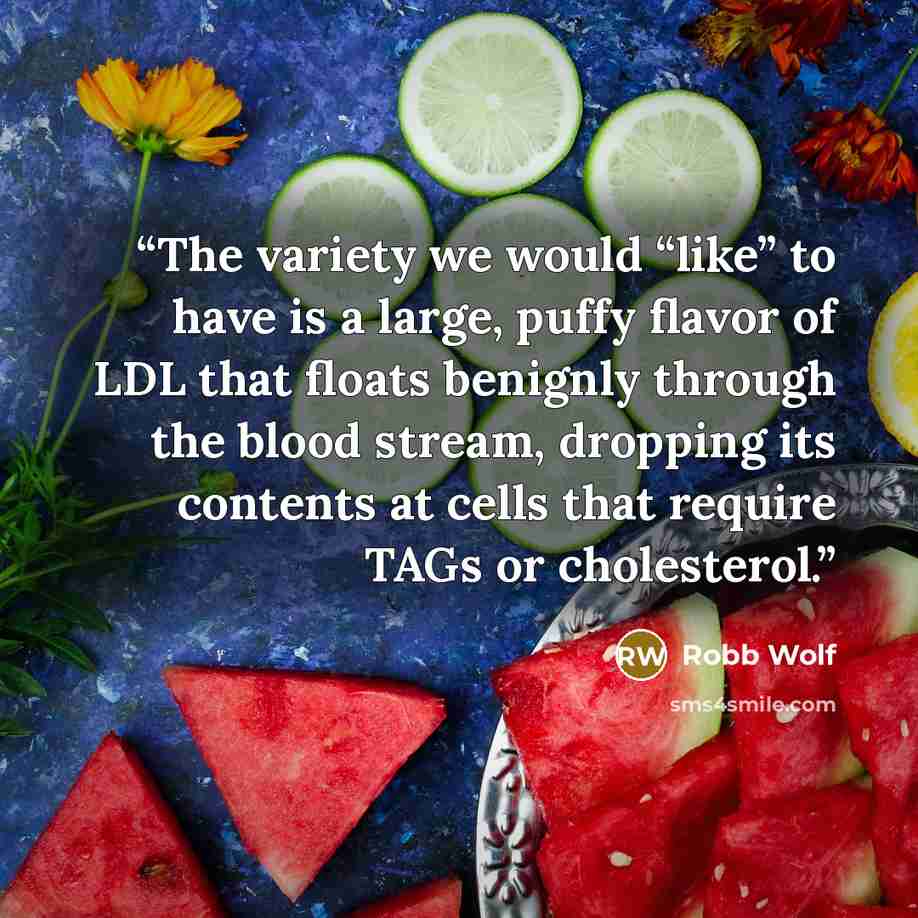 “The variety we would “like” to have is a large, puffy flavor of LDL that floats benignly through the blood stream, dropping its contents at cells that require TAGs or cholesterol.” quote by Robb Wolf
