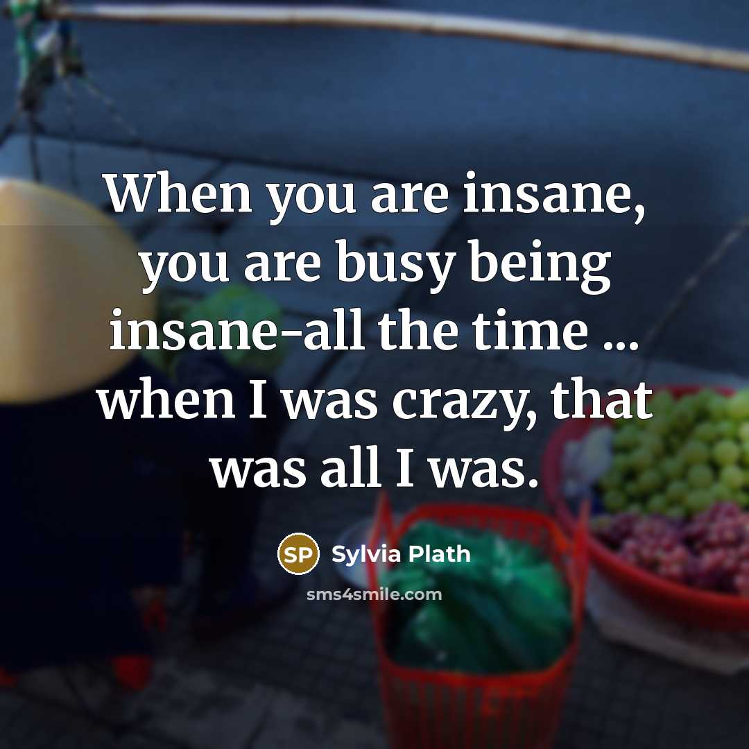 “When you are insane, you are busy being insane-all the…” quote by Sylvia Plath