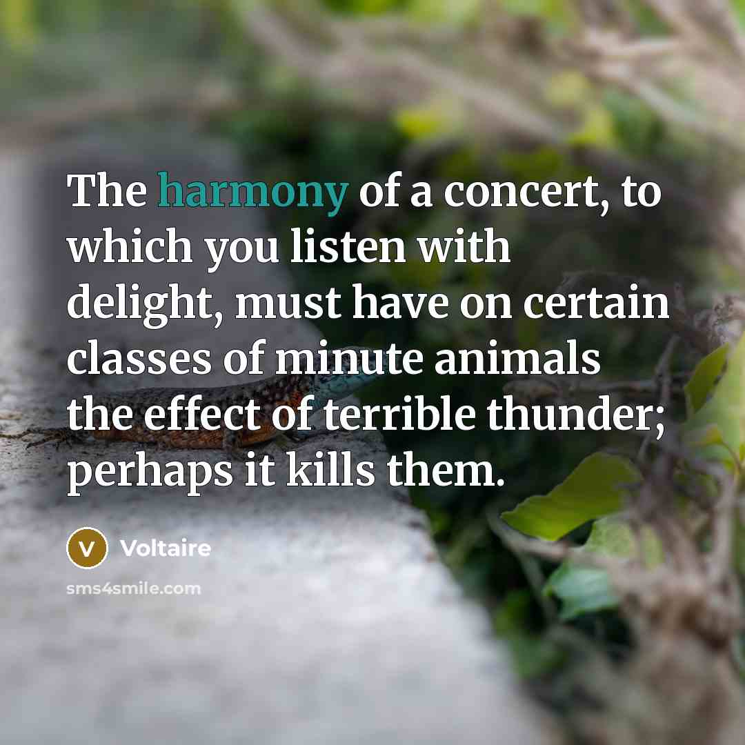 “The harmony of a concert, to which you listen with…” quote by Voltaire