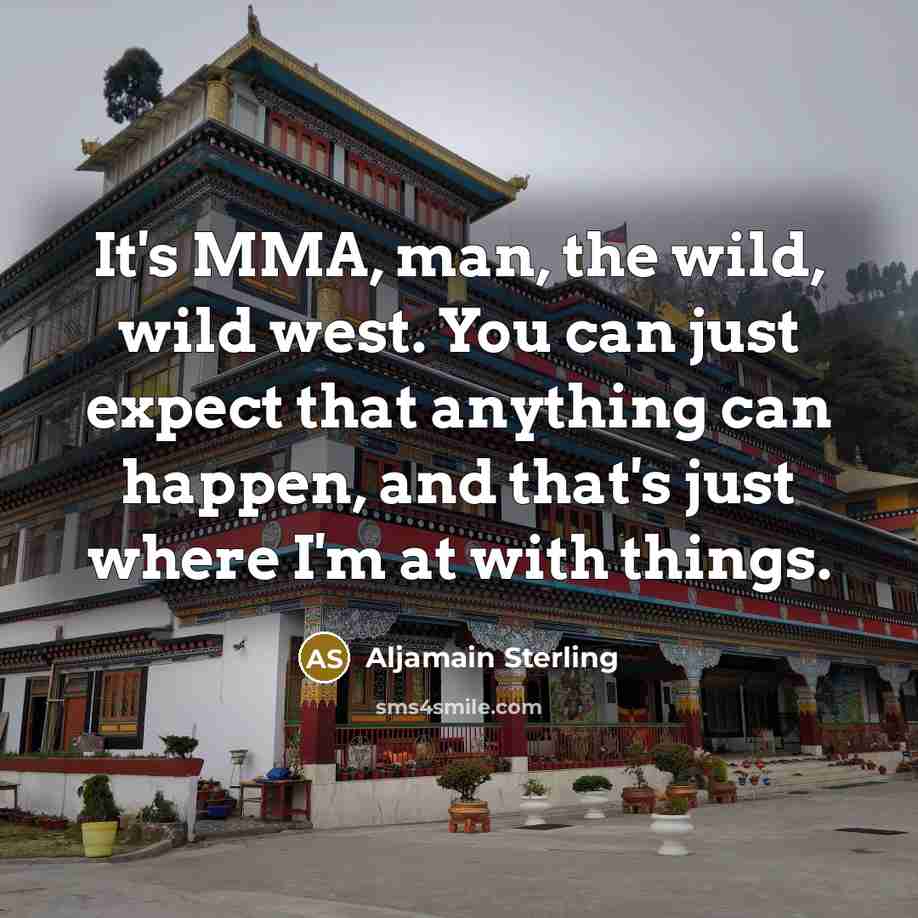 “It's MMA, man, the wild, wild west. You can just…” quote by Aljamain Sterling