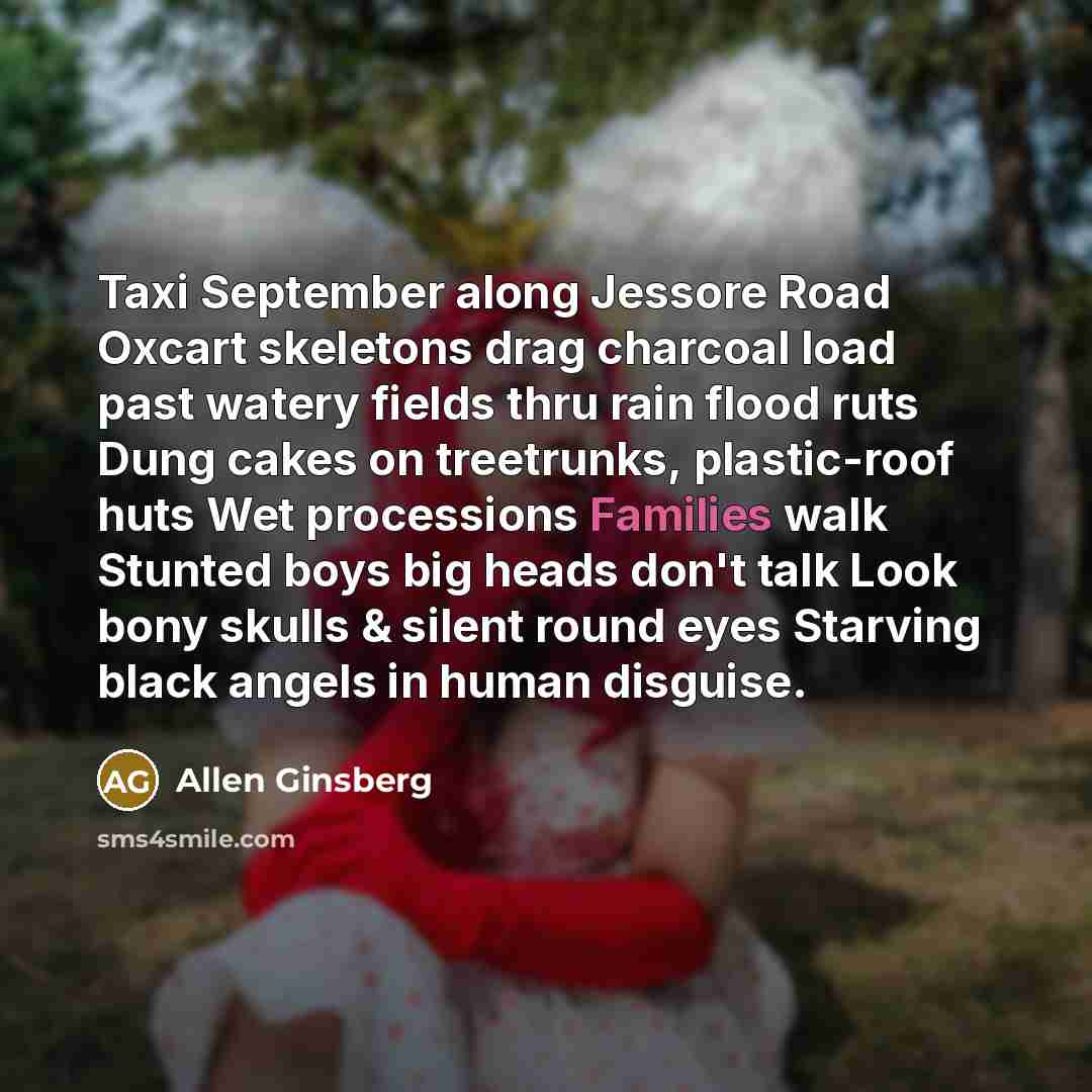 “Taxi September along Jessore Road Oxcart skeletons drag charcoal load…” quote by Allen Ginsberg