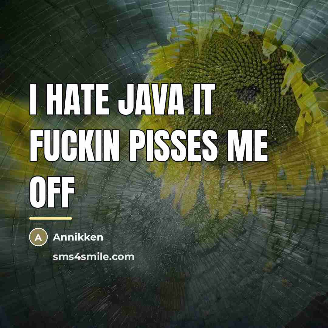 “I hate java it fuckin pisses me off…” quote by Annikken