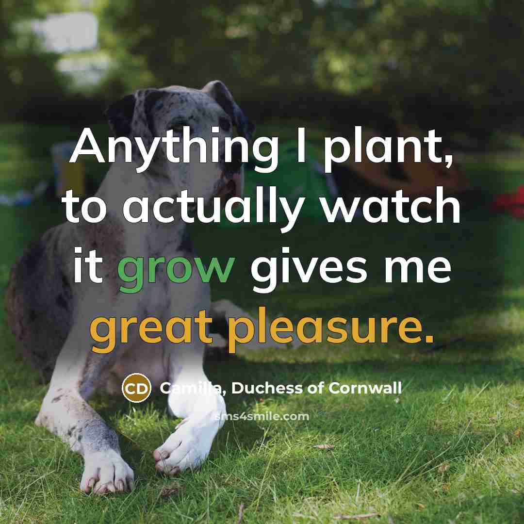 “Anything I plant, to actually watch it grow gives me…” quote by Camilla, Duchess of Cornwall