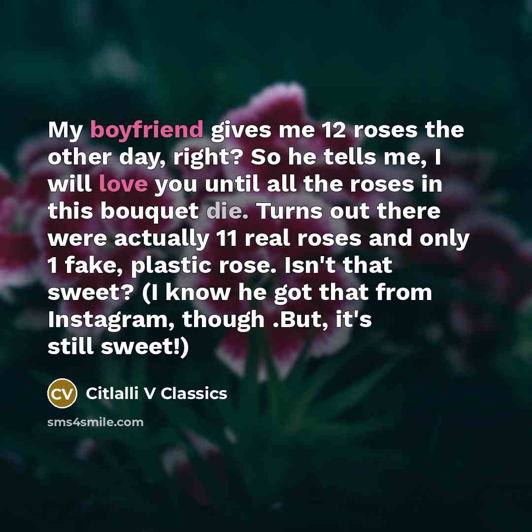 “My boyfriend gives me 12 roses the other day, right?…” quote by Citlalli V Classics