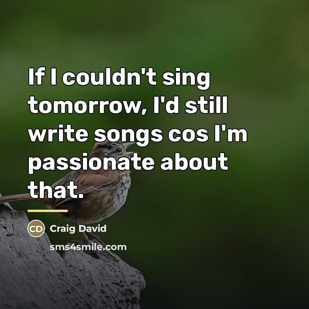 “If I couldn't sing tomorrow, I'd still write songs cos…” quote by Craig David