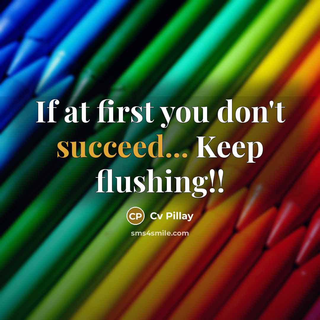 “If at first you don't succeed... Keep flushing!!” quote by Cv Pillay