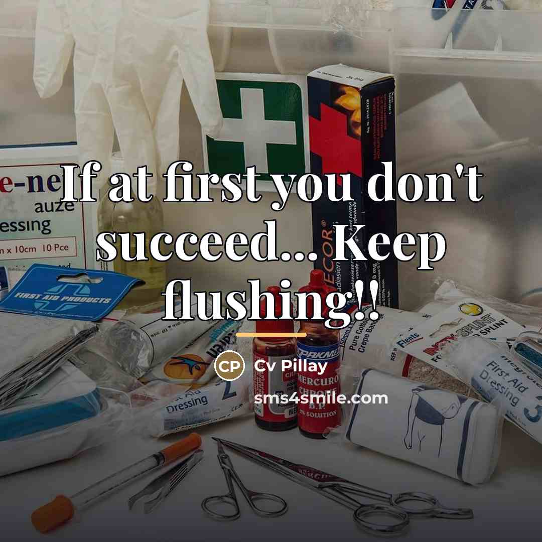 “If at first you don't succeed... Keep flushing!!…” quote by Cv Pillay