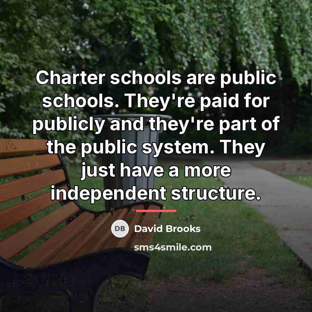 “Charter schools are public schools. They're paid for publicly and…” quote by David Brooks