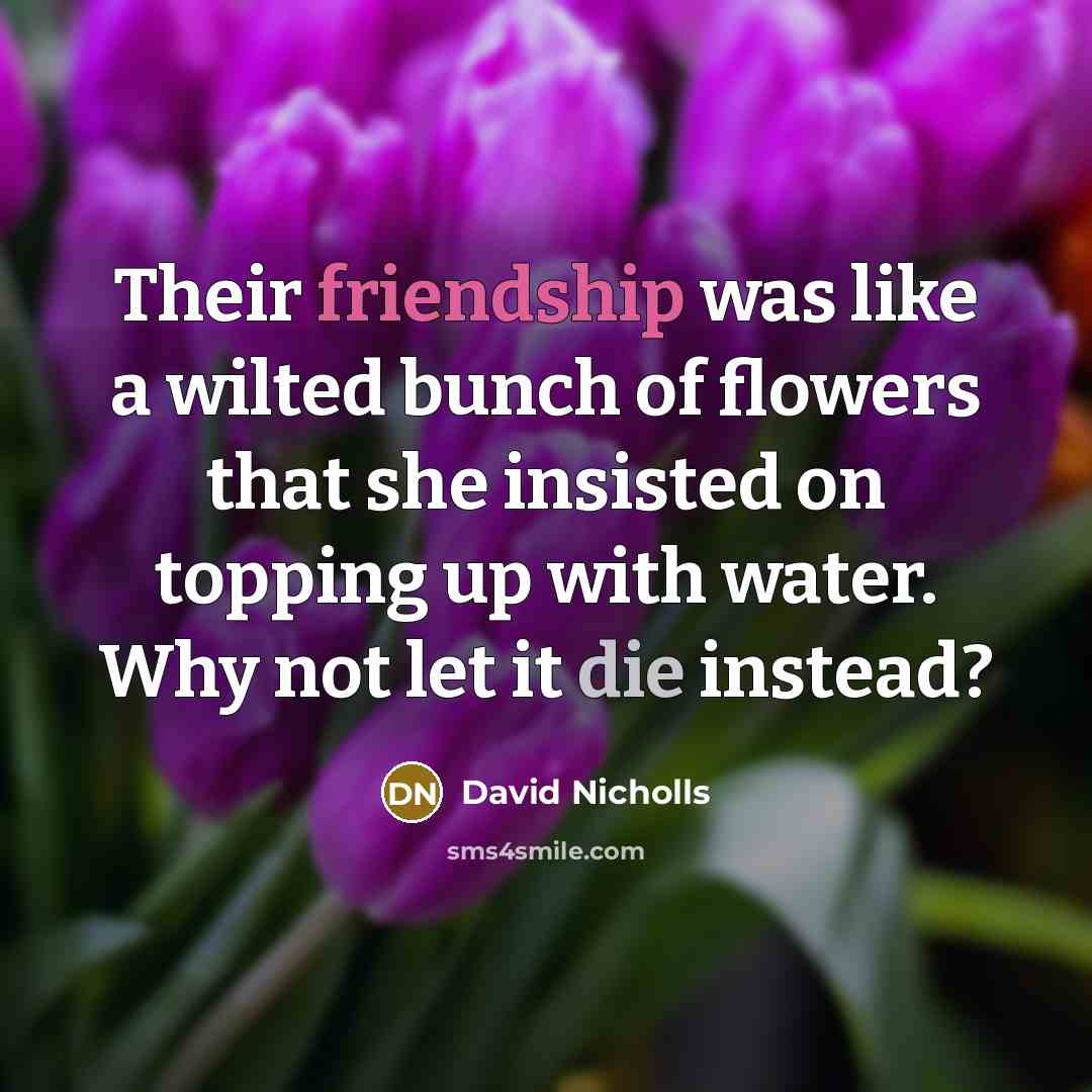 “Their friendship was like a wilted bunch of flowers that…” quote by David Nicholls
