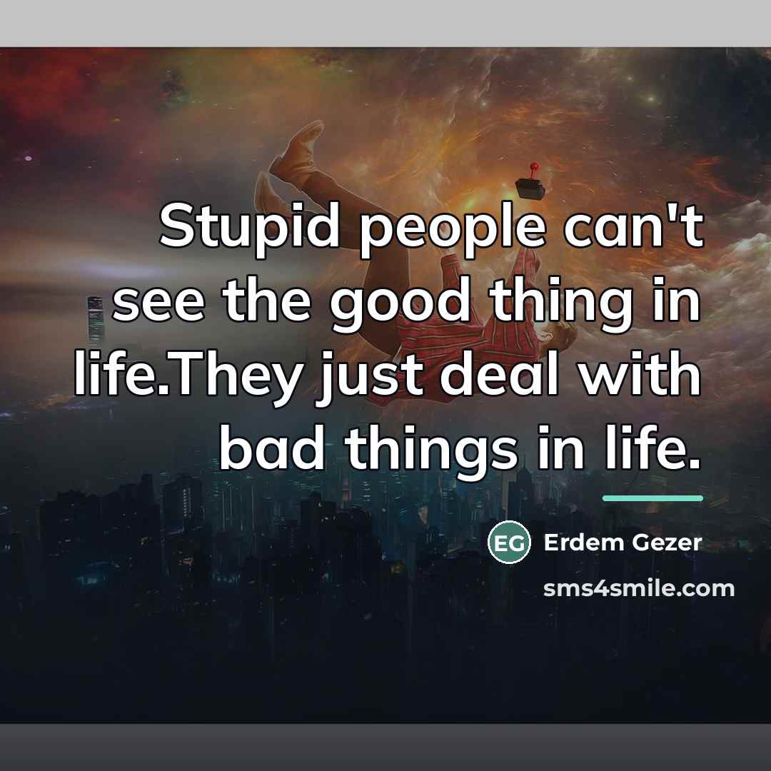 “Stupid people can't see the good thing in life.They just…” quote by Erdem Gezer