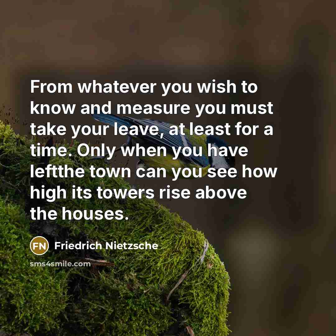 “From whatever you wish to know and measure you must…” quote by Friedrich Nietzsche